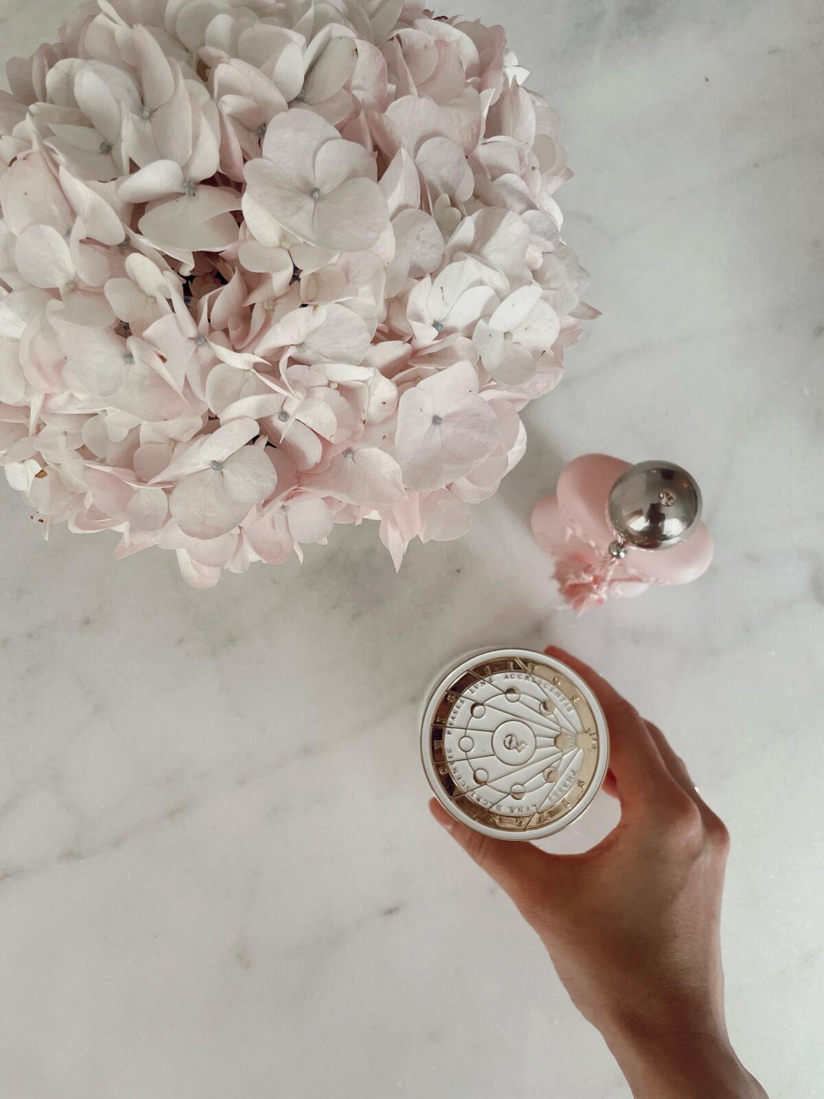 تصویر عطر کاسیُپیا تیزیانا ترنزی