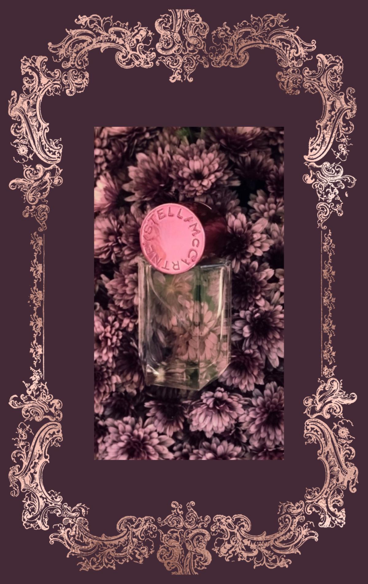 تصویر عطر پاپ استلا میک کارتنی