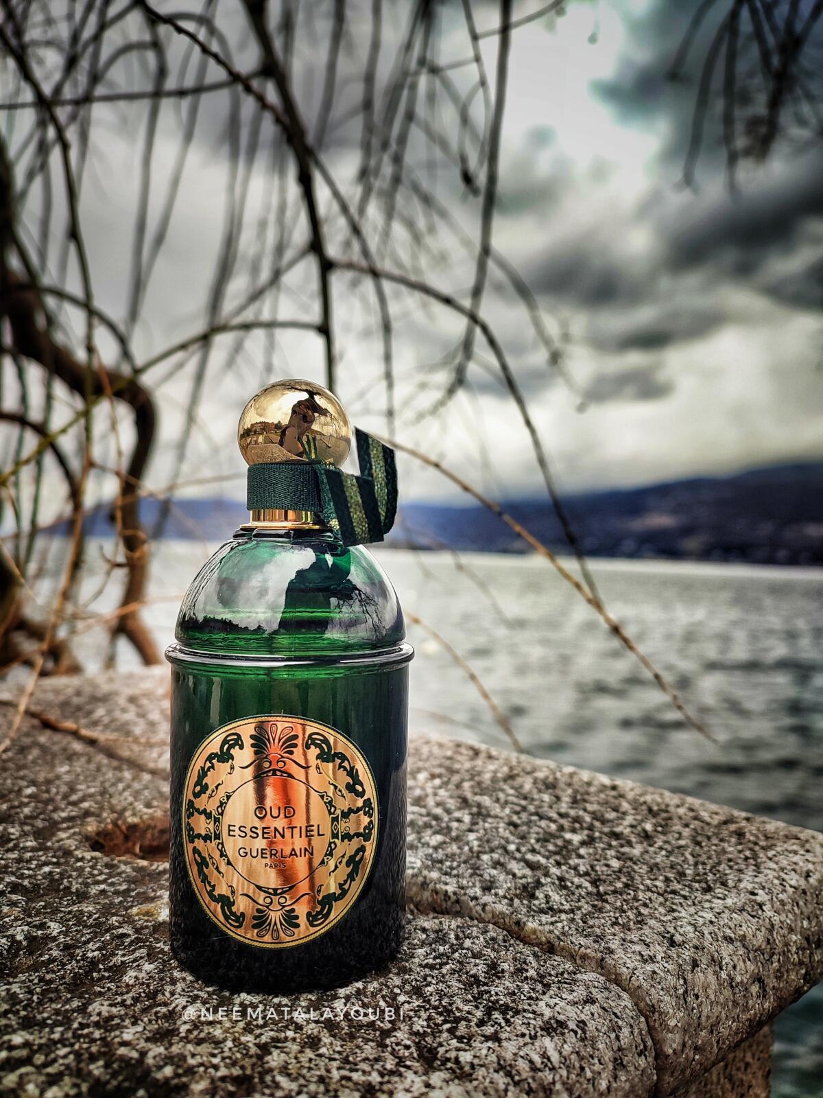 تصویر عطر اود اسنشیال لز ابسلو دی اورینت گرلن