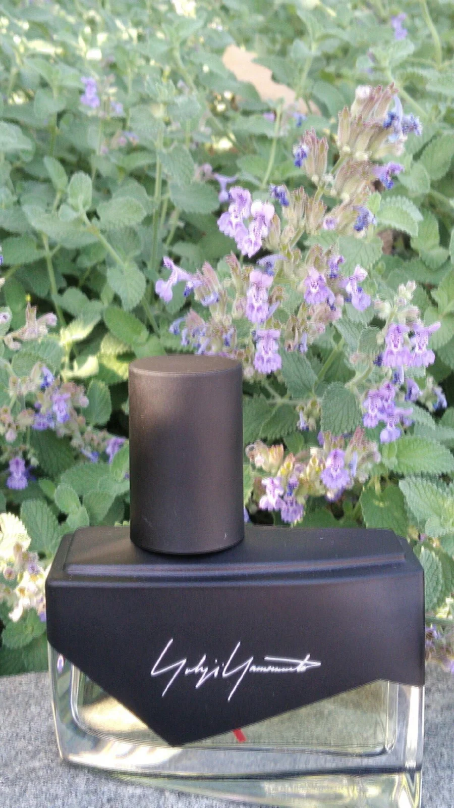 تصویر عطر آیم نات گوینگ تو دیستورب یو هوم یوجی یاماموتو
