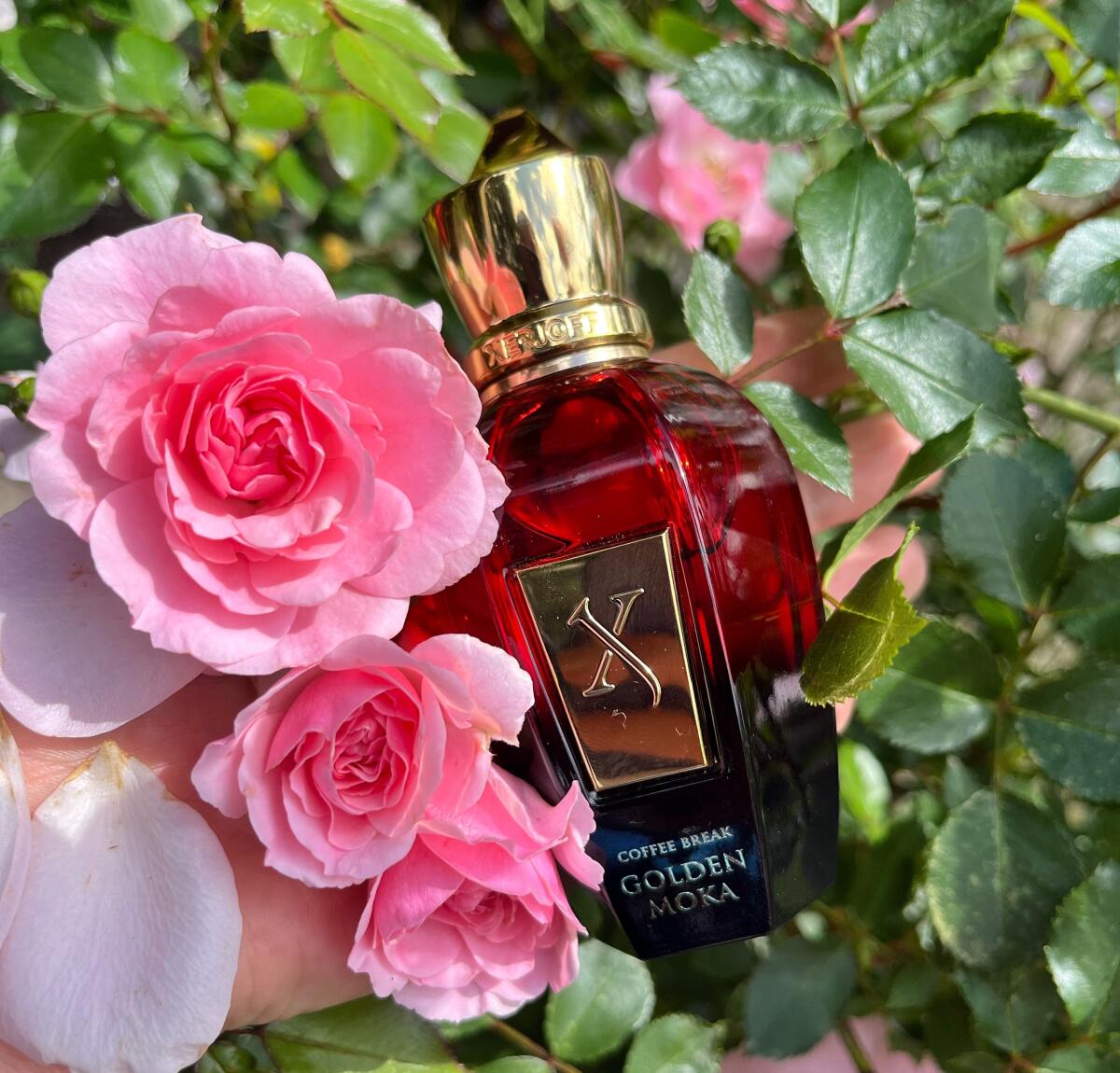 تصویر عطر گلدن موکا زرجوف