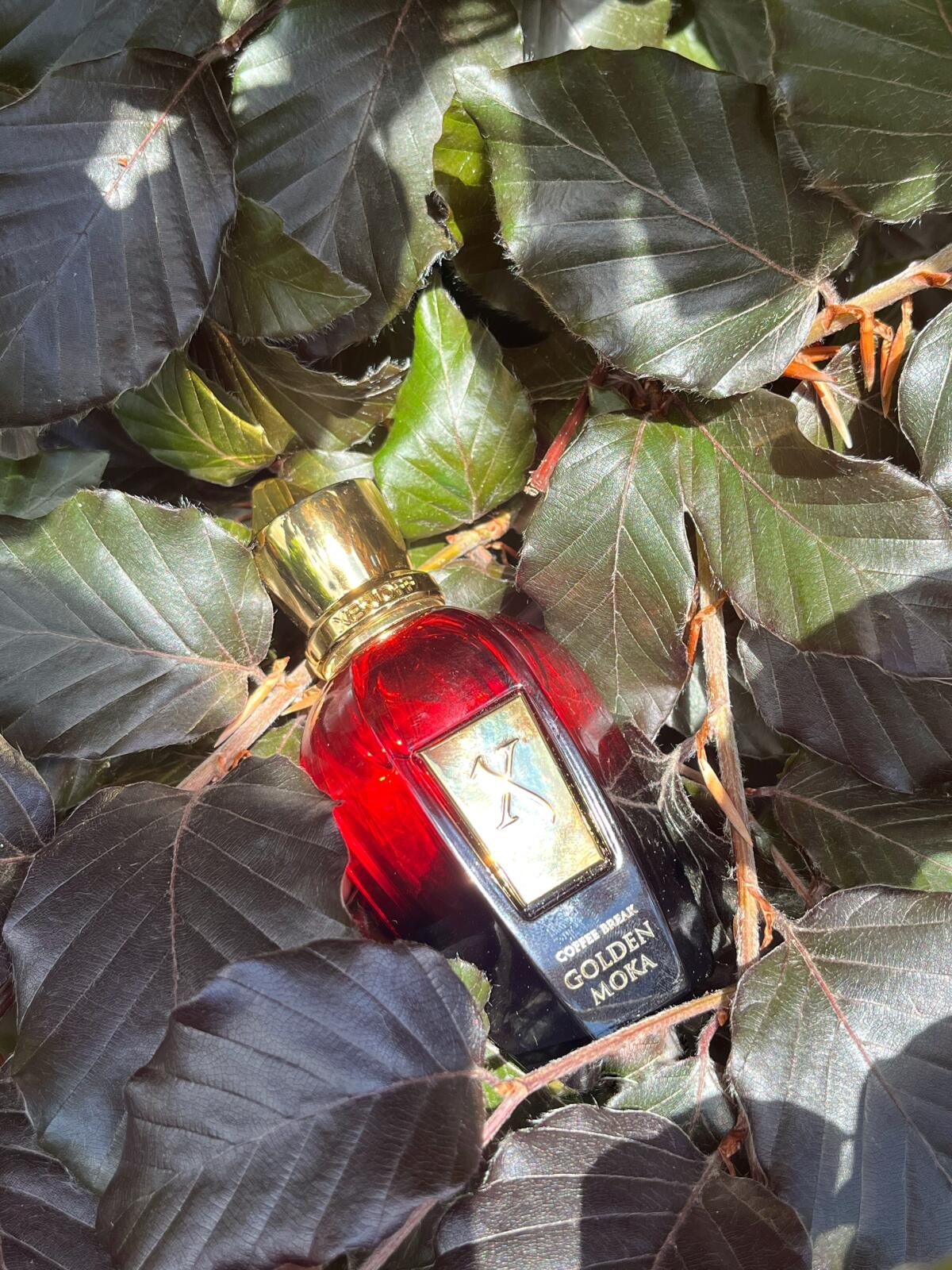 تصویر عطر گلدن موکا زرجوف