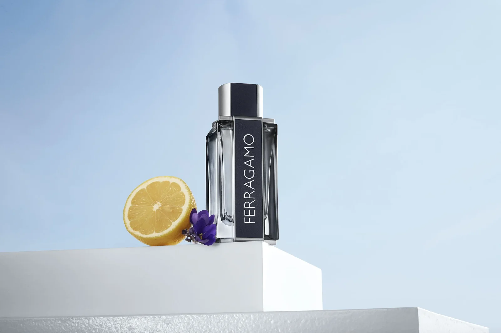 تصویر عطر فراگامو سالواتوره فراگامو