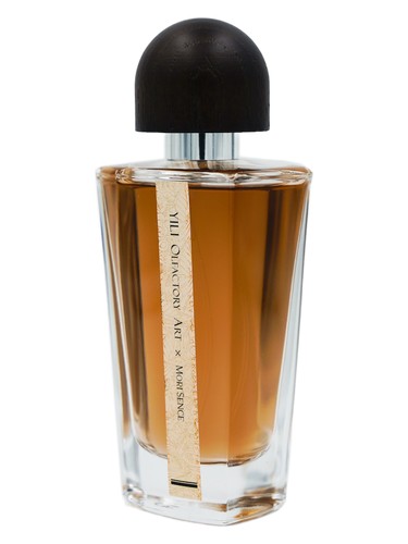 تصویر عطر کاتن باکس ییلی اولفکتوری آرت