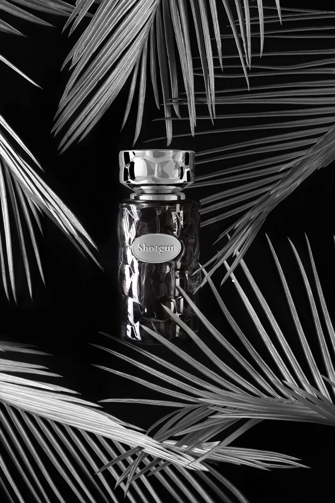 تصویر عطر ورسی شاتگان ورسای
