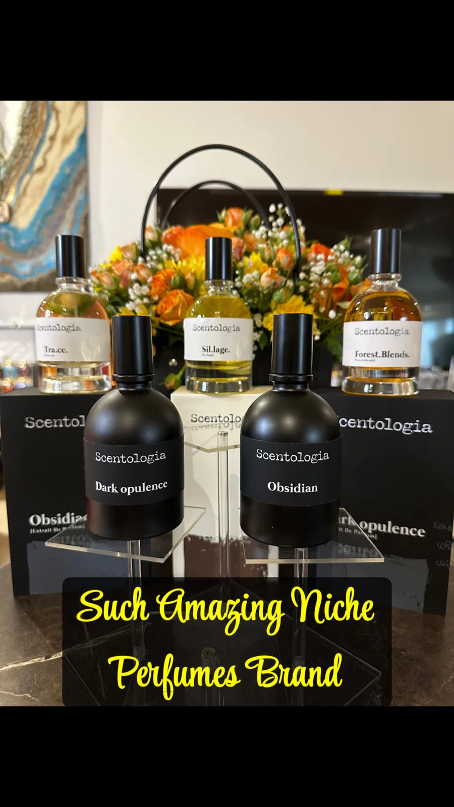 تصویر عطر دارک آپیولنس سنتولوژیا
