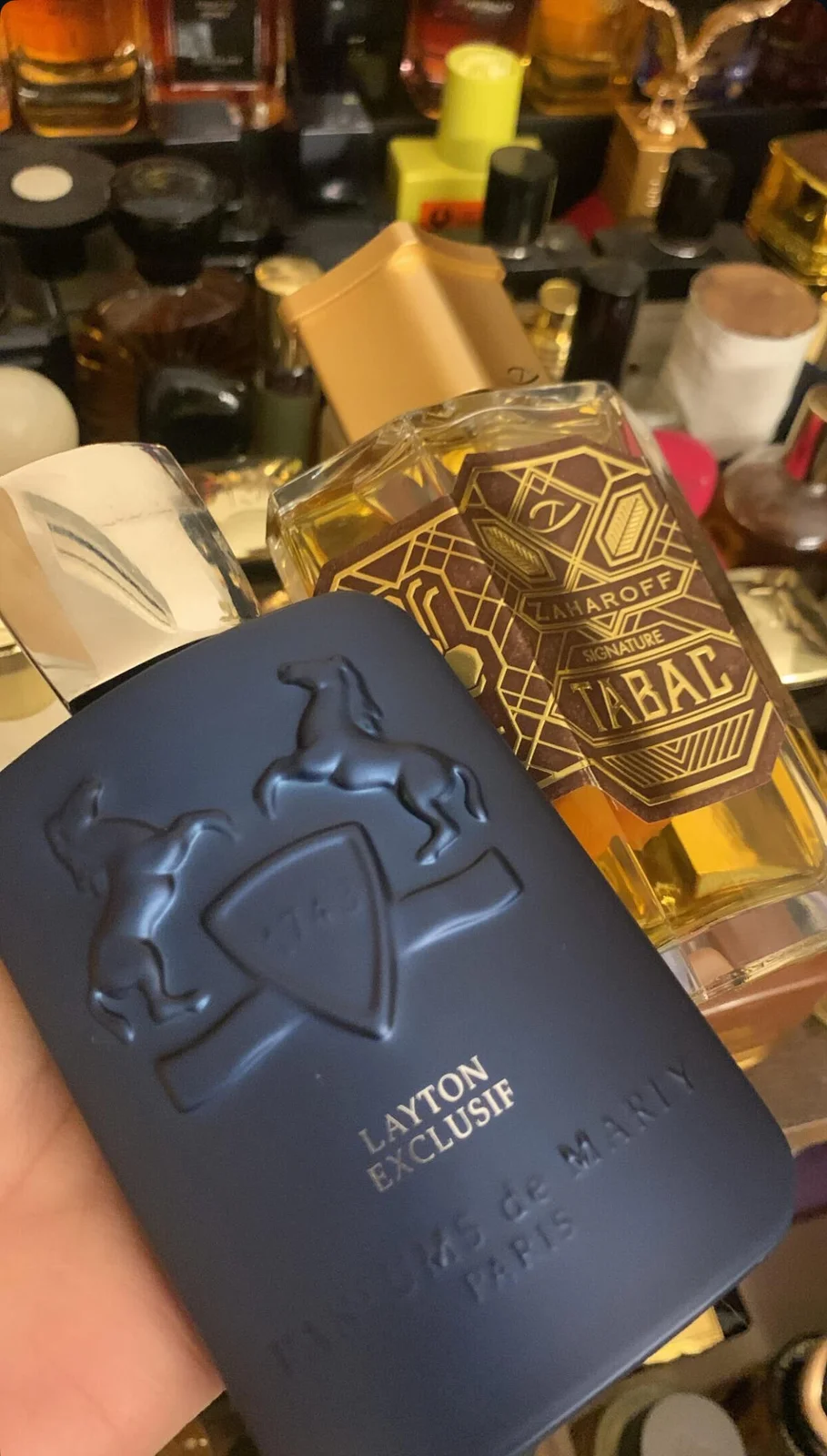 تصویر عطر سیگنیچر تاباک زاهاروف