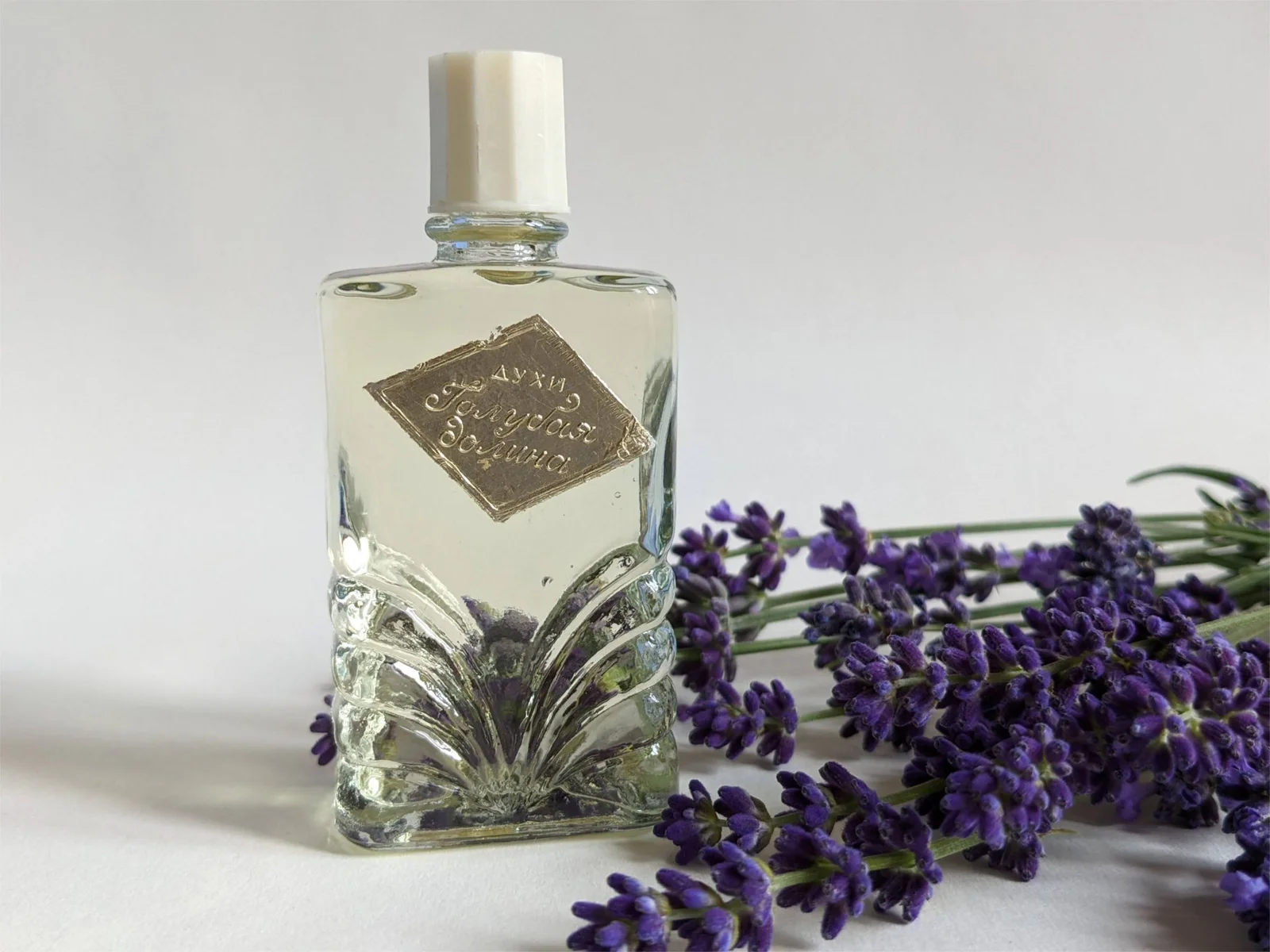 تصویر عطر گلبایا دولینا رز کریمه