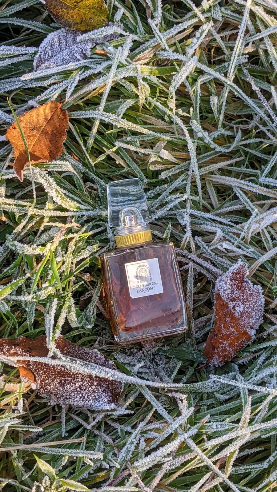 تصویر عطر کوییر دو لانکوم