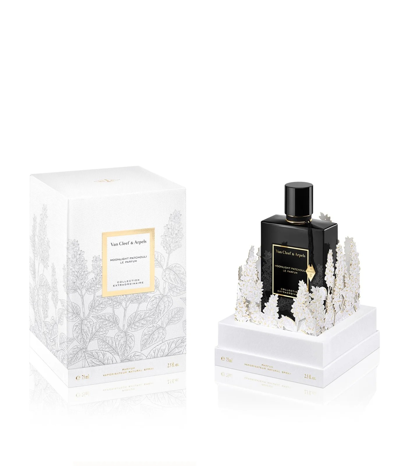 تصویر عطر مون لایت پچولی له پارفوم ون کلیف اند آرپلز