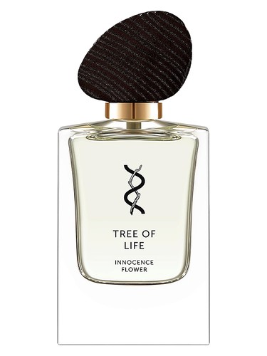 تصویر عطر اینسنس فلاور تری آو لایف