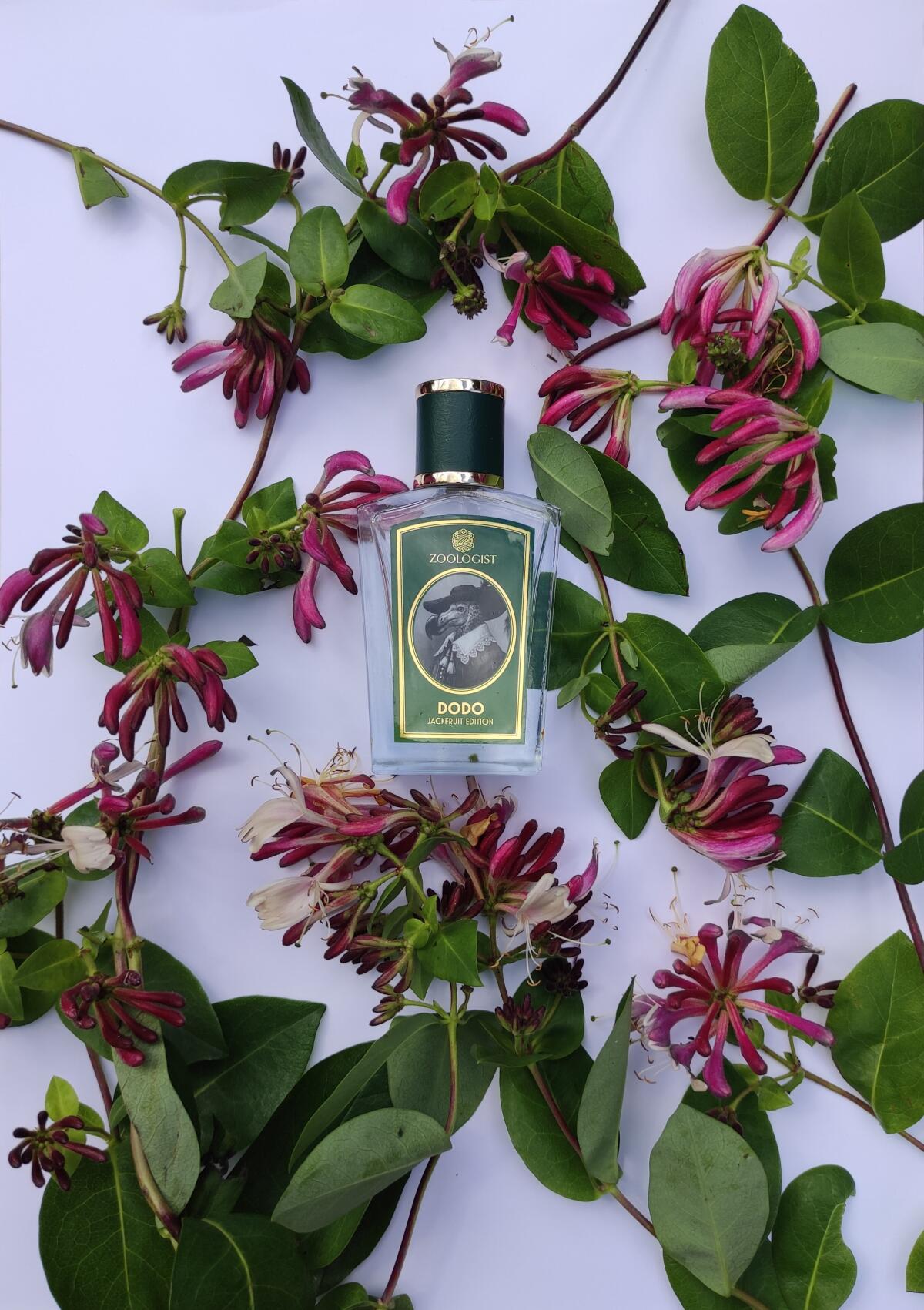 تصویر عطر دودو جکفروت ادیشن زولوژیست پرفیومز