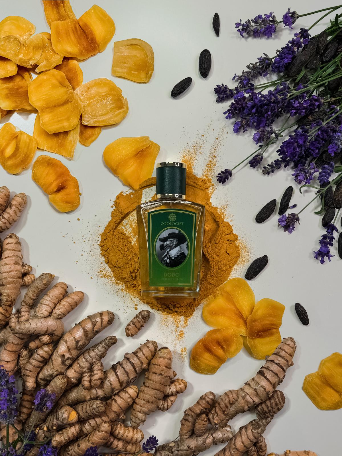 تصویر عطر دودو جکفروت ادیشن زولوژیست پرفیومز