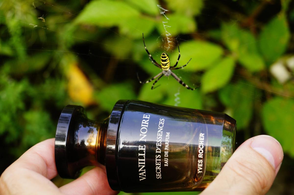 تصویر عطر ونیل نویر او دو پرفیوم ایو روشه