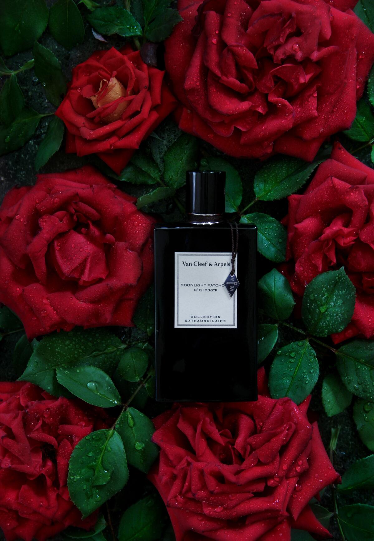 تصویر عطر مون‌لایت پچولی ون کلیف اند آرپلز