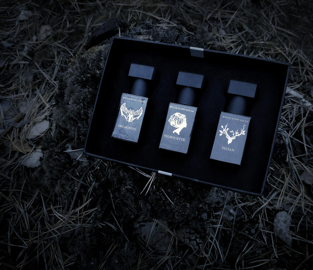 تصویر عطر سیلوان روژ بانی روژ