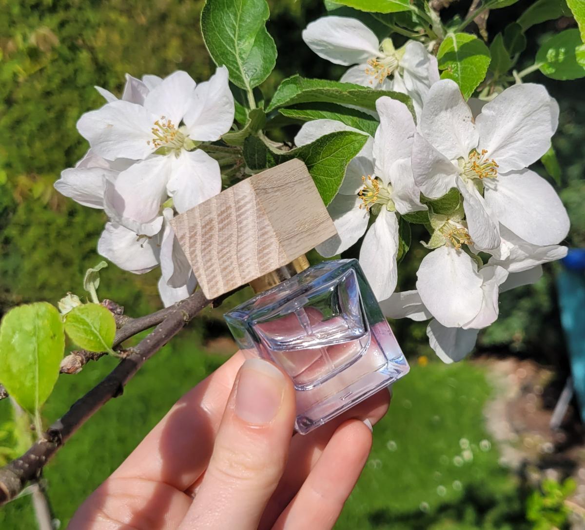 تصویر عطر اوسین اینفینی ریچوالز