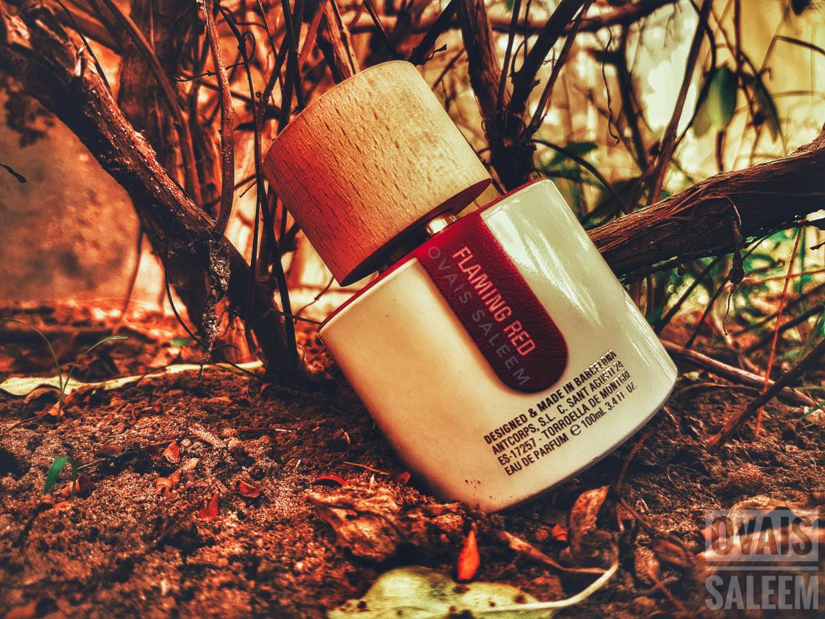 تصویر عطر فلیمینگ رد سانتی بورگاس