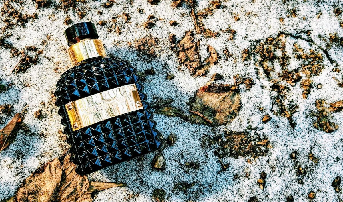 تصویر عطر والنتینو اومو نویر ابسولو