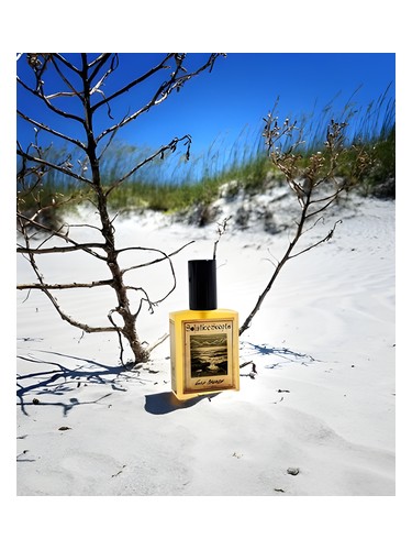 تصویر عطر گلف بریز سالستیس سنتس