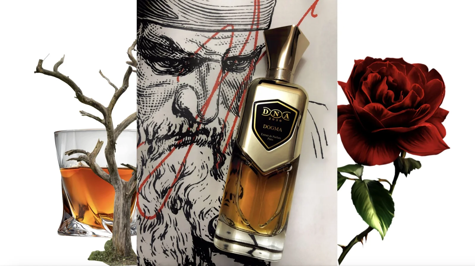 تصویر عطر داگما سر پارفومر دی‌ان‌ای ۲۰۳۰