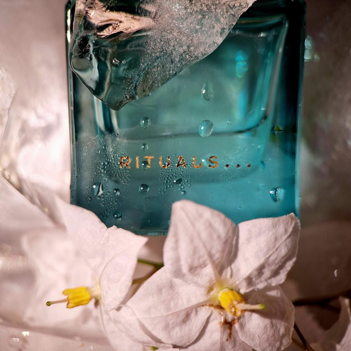 تصویر عطر سولِی دور ریچوالز