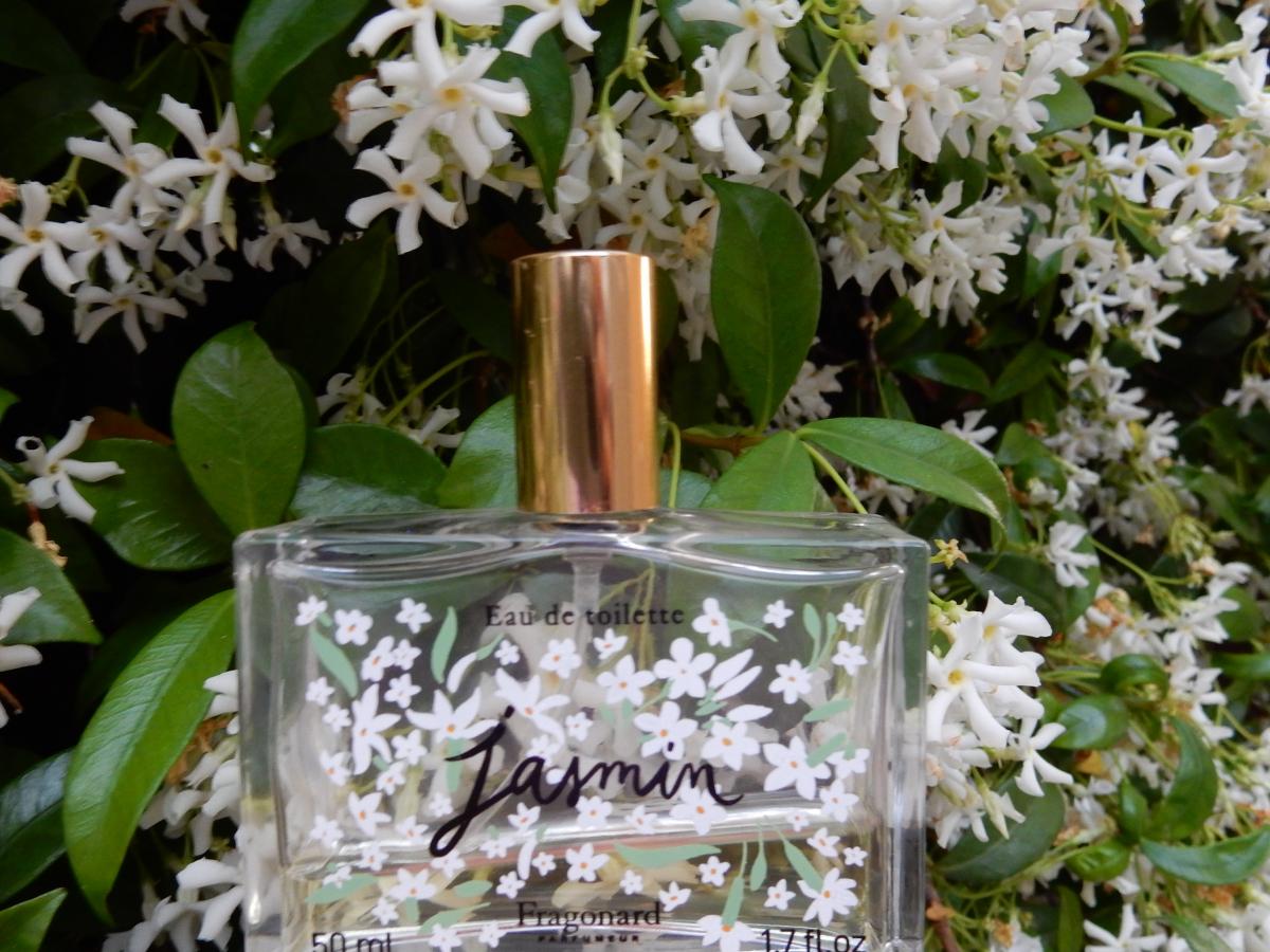 تصویر عطر جاسمین فراگونار