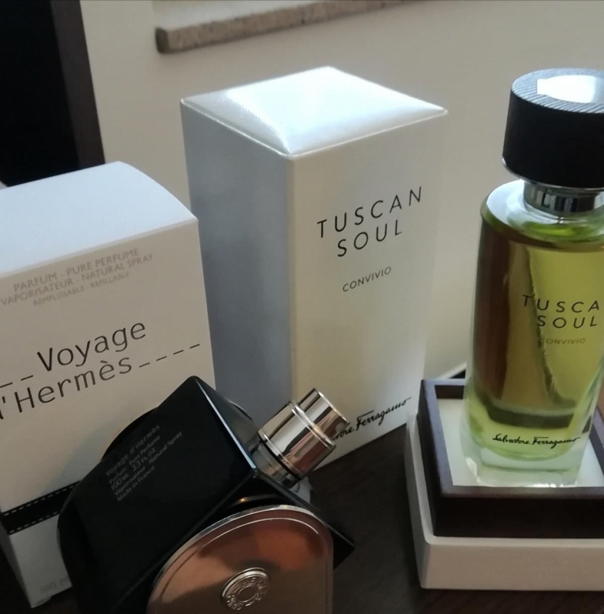 تصویر عطر کنویویو سالواتوره فراگامو