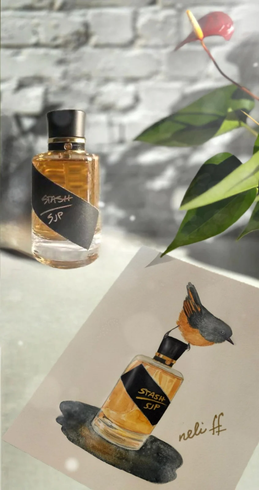 تصویر عطر استش اس جی پی سارا جسیکا پارکر