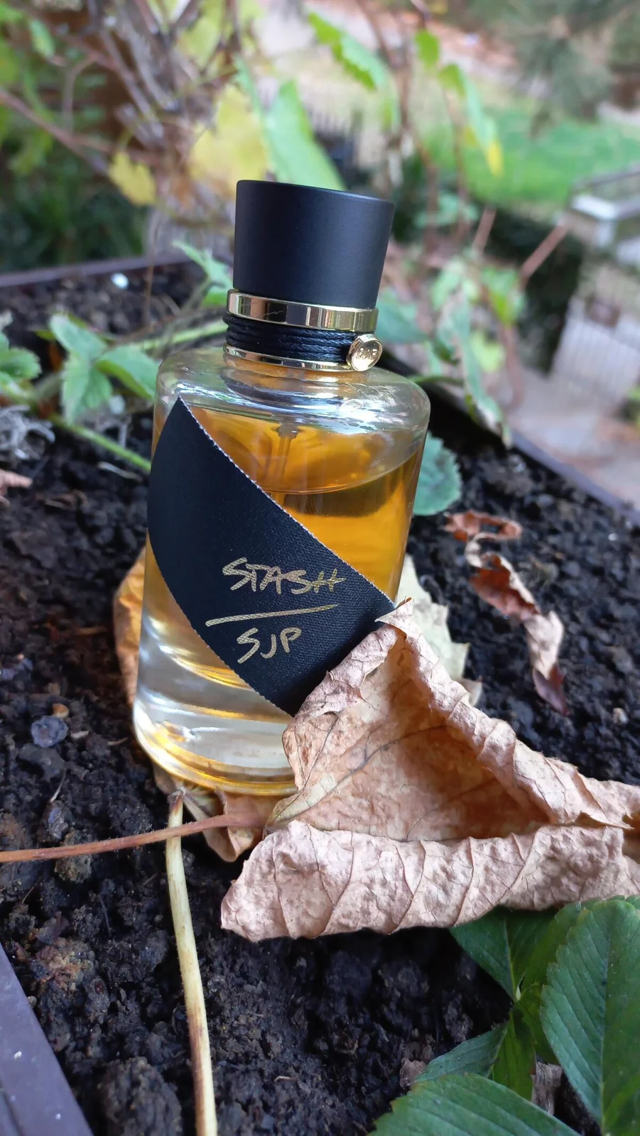 تصویر عطر استش اس جی پی سارا جسیکا پارکر