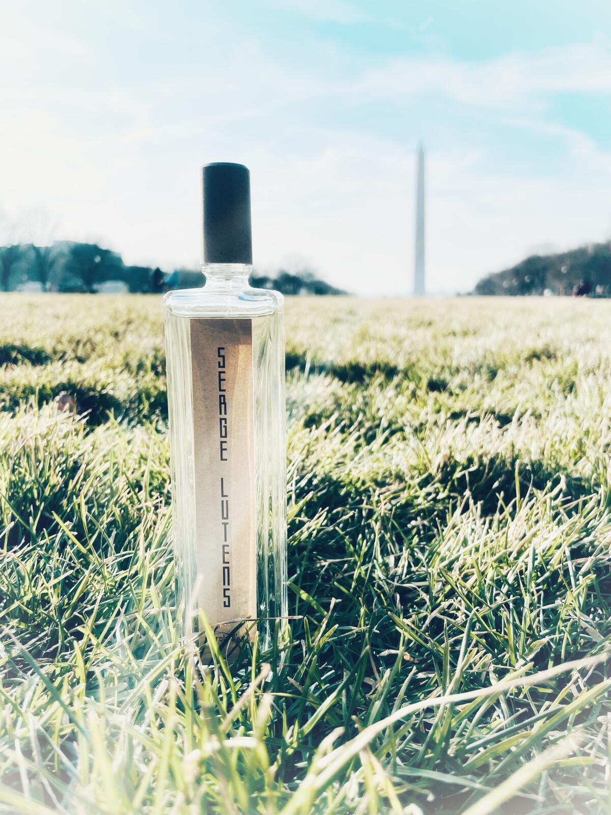 تصویر عطر پَرُل دو سرژ لوتانس
