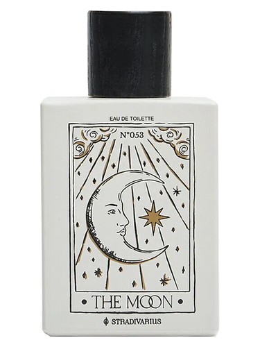 تصویر عطر نگاه شماره ۰۵۳ سترَدیوِریِس