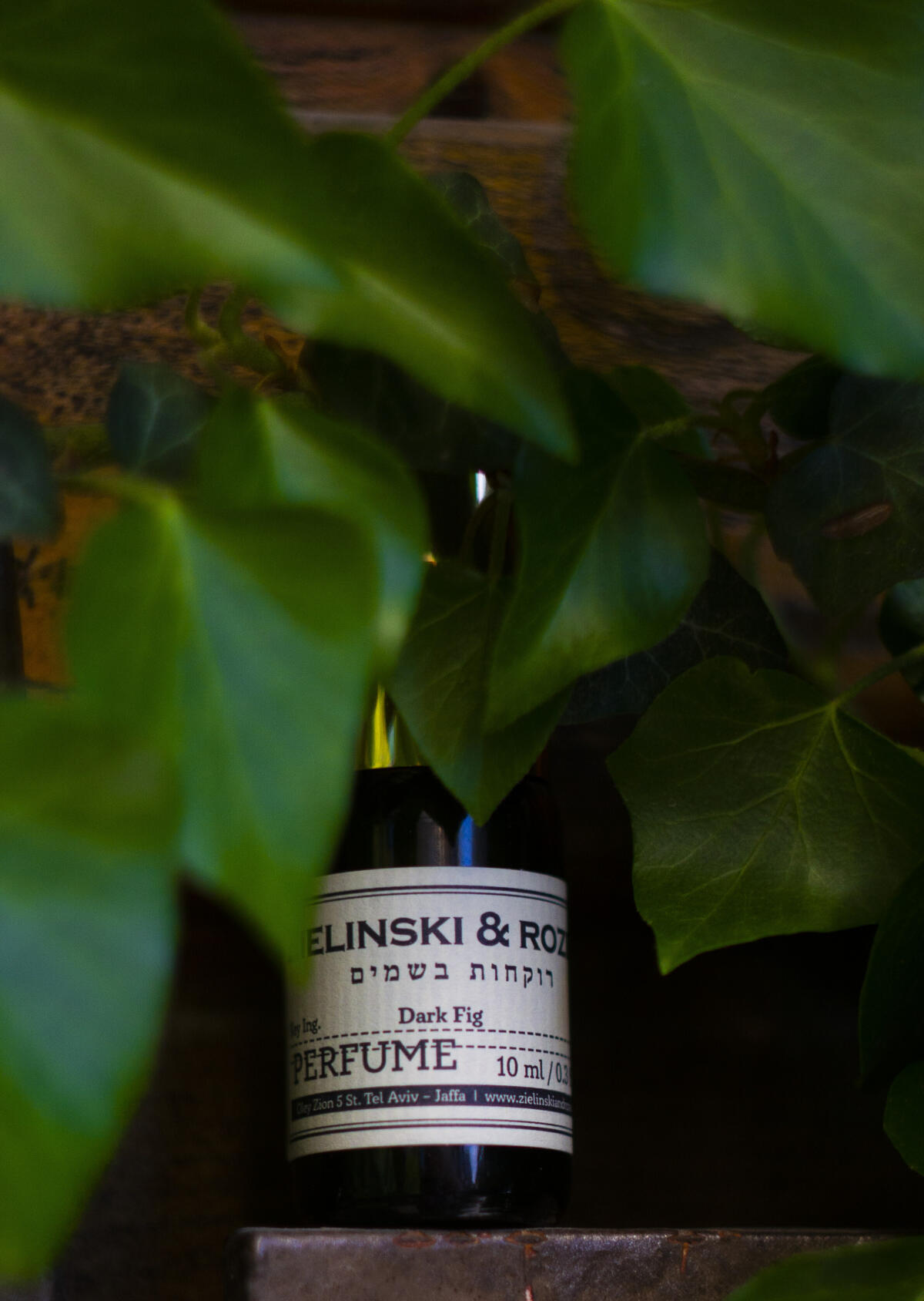 تصویر عطر دارک فیک زیلینسکی اند رازِن