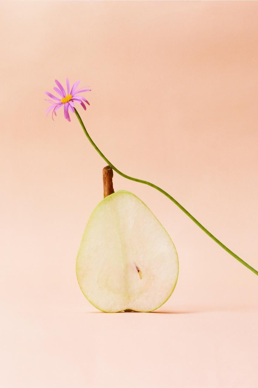 تصویر عطر رُز مارشمالو کندی زارا