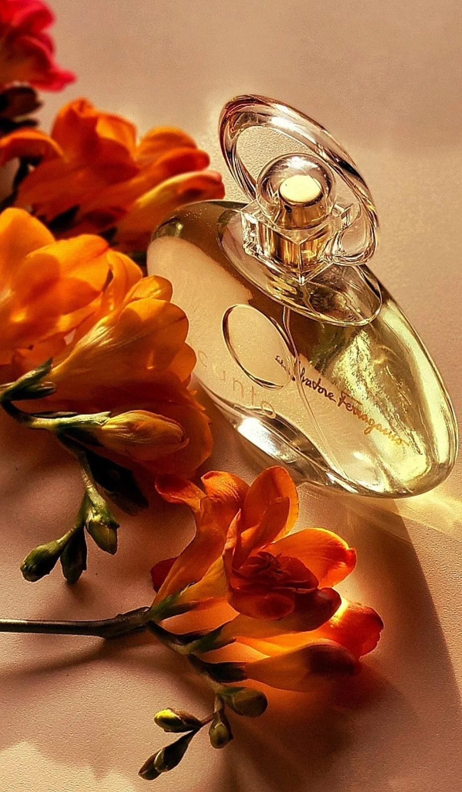 تصویر عطر اینکنتو سالواتوره فراگامو