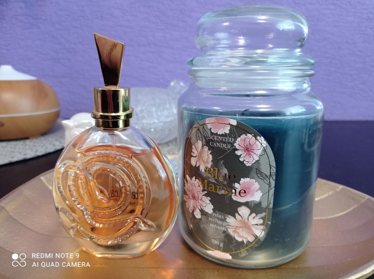 تصویر عطر سرپنتاین روبرتو کاوالی