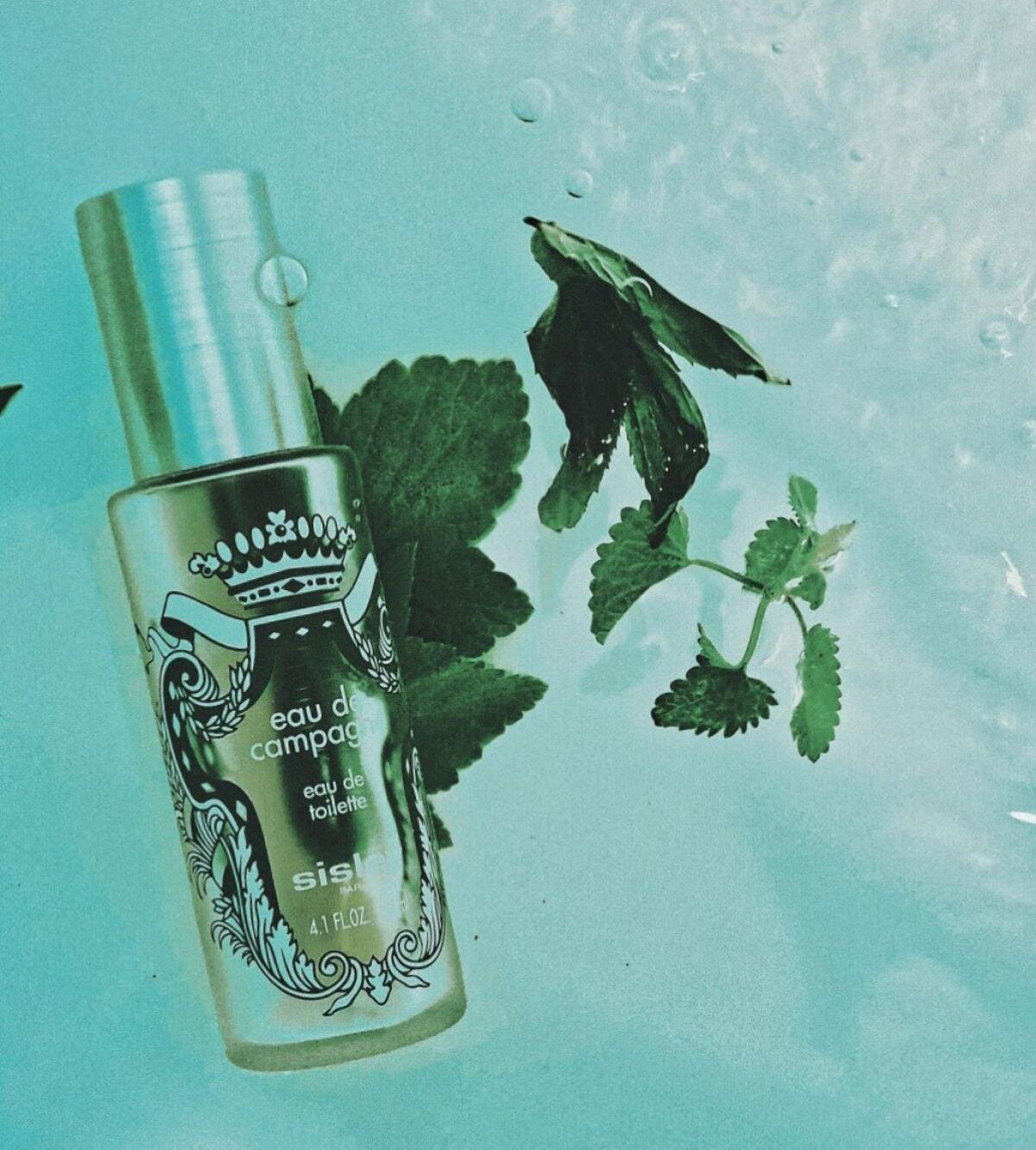 تصویر عطر اُ دُ کامپاگن سیزلی