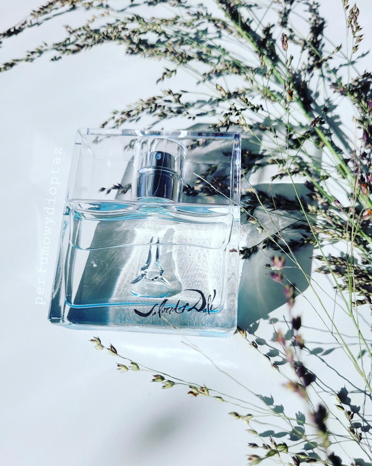 تصویر عطر سی اند سان این کاداکس سالوادور دالی
