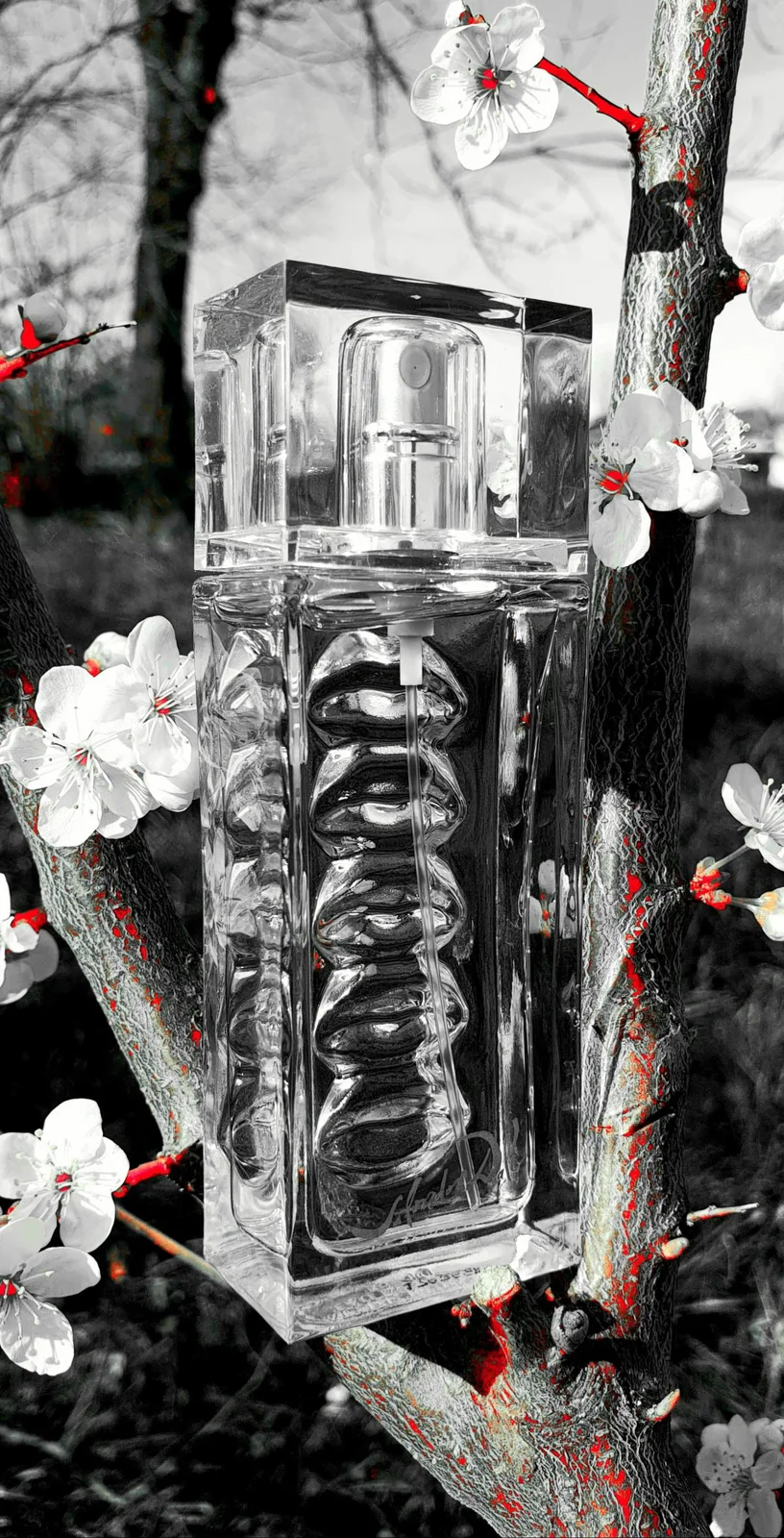 تصویر عطر اُ دو روبی لیپس سالوادور دالی