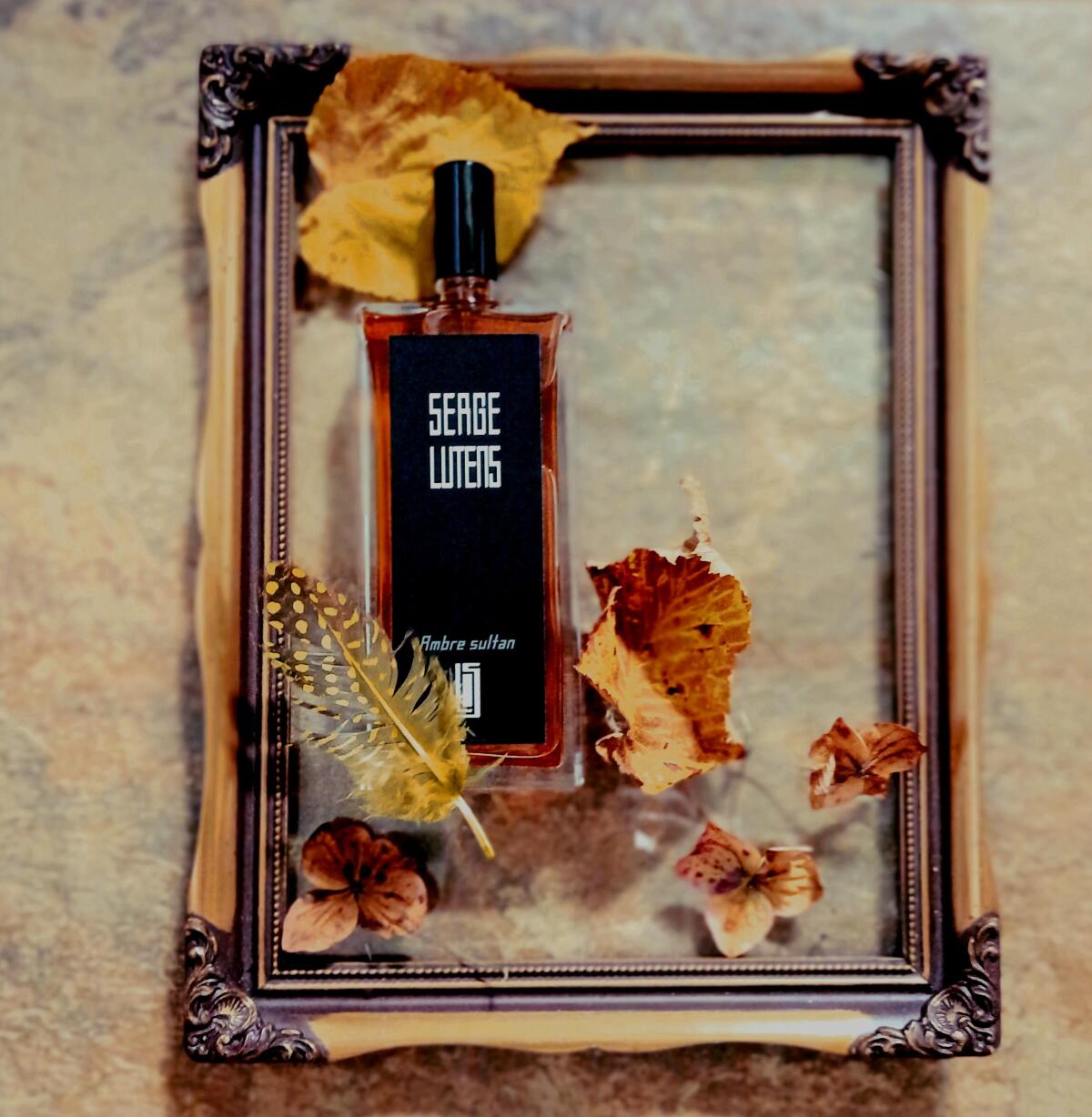 تصویر عطر آمبر سلطان سرژ لوتانس