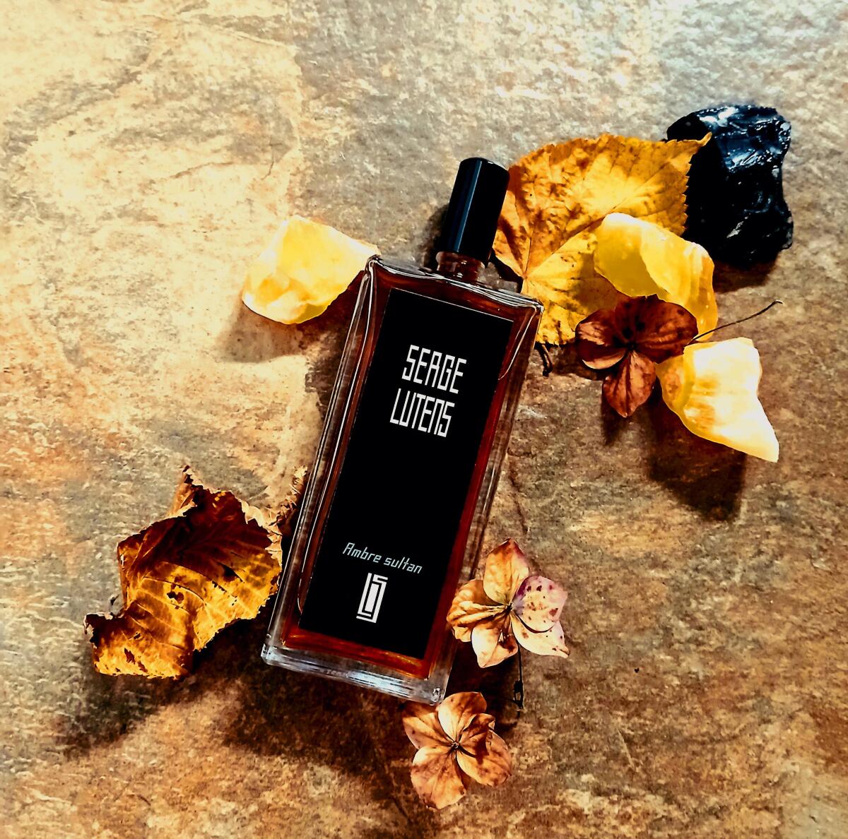 تصویر عطر آمبر سلطان سرژ لوتانس