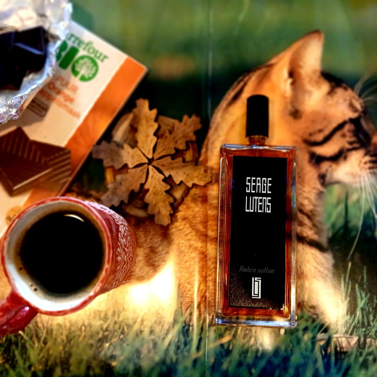 تصویر عطر آمبر سلطان سرژ لوتانس