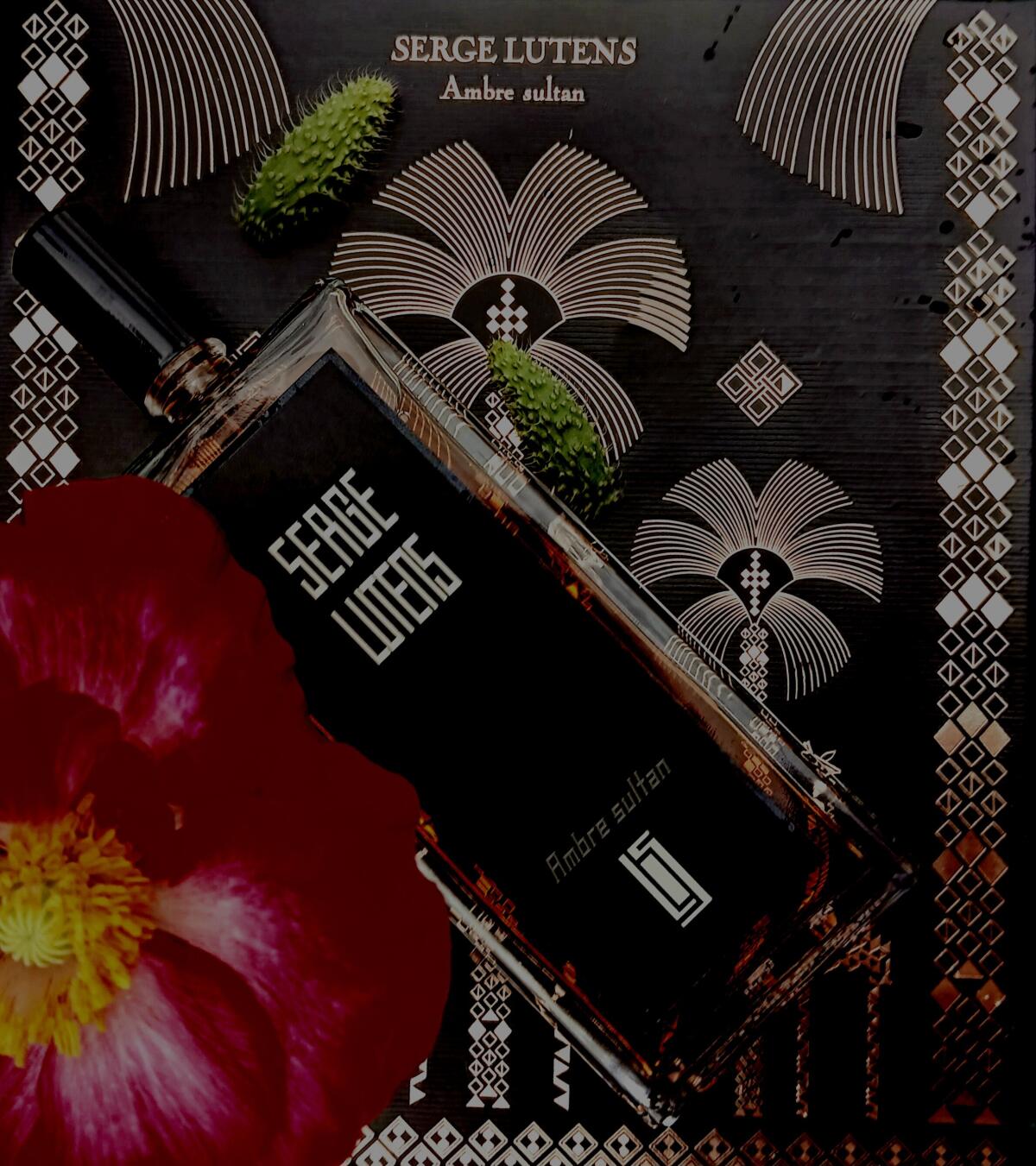 تصویر عطر آمبر سلطان سرژ لوتانس
