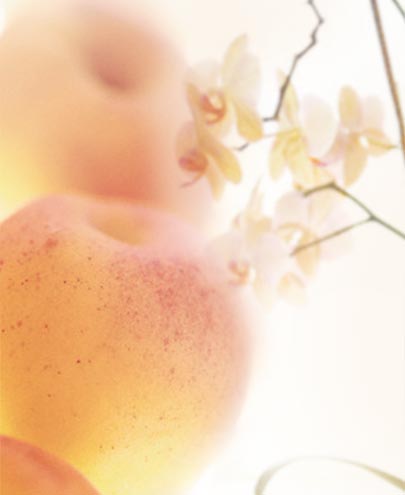 تصویر عطر استفن شرات ستِفِن شراوت