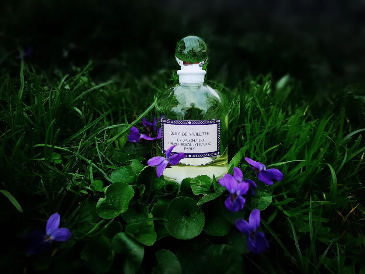 تصویر عطر بوا دو ویولت سرژ لوتانس
