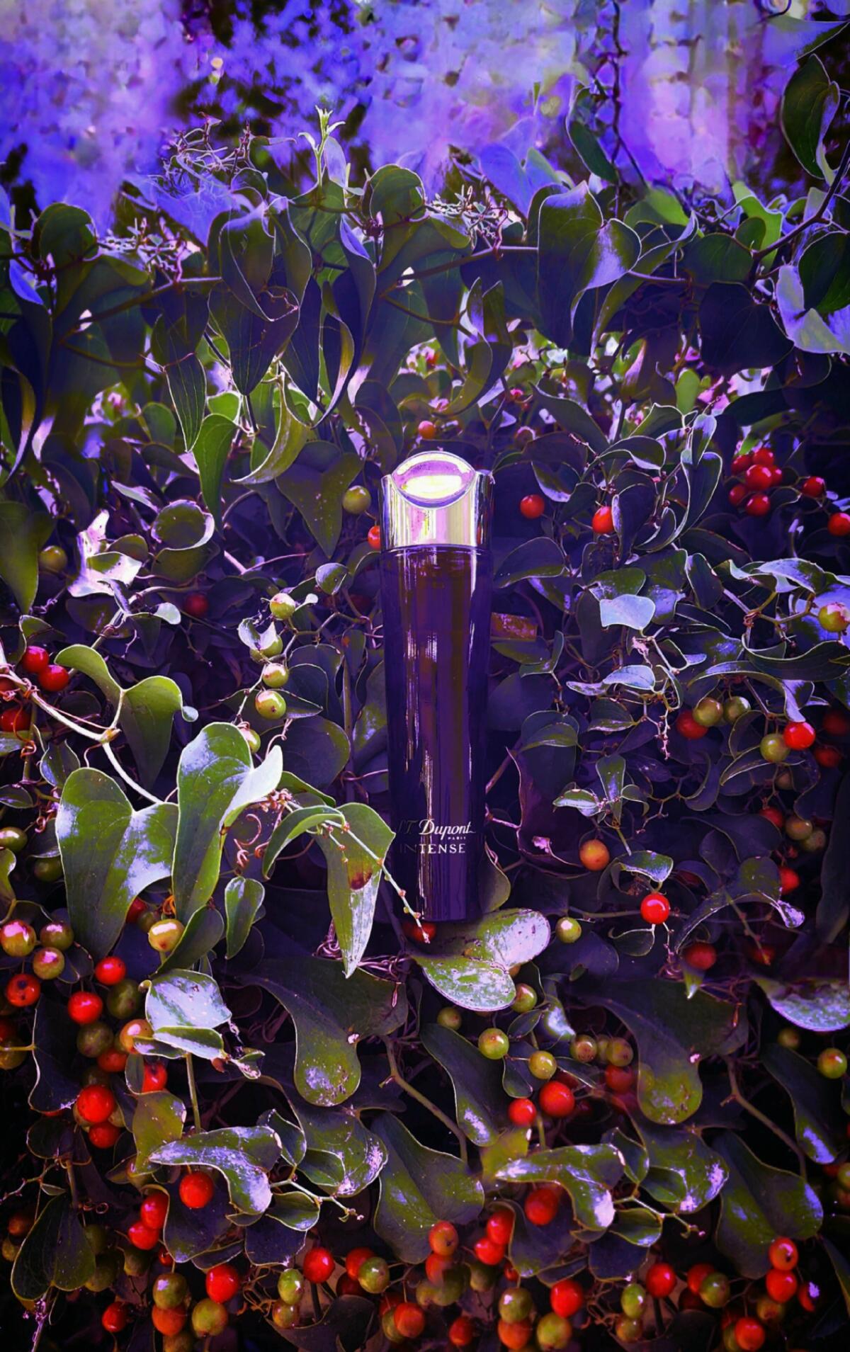 تصویر عطر اس تی دوپونت اینتنس پور فم اس‌تی دوپون