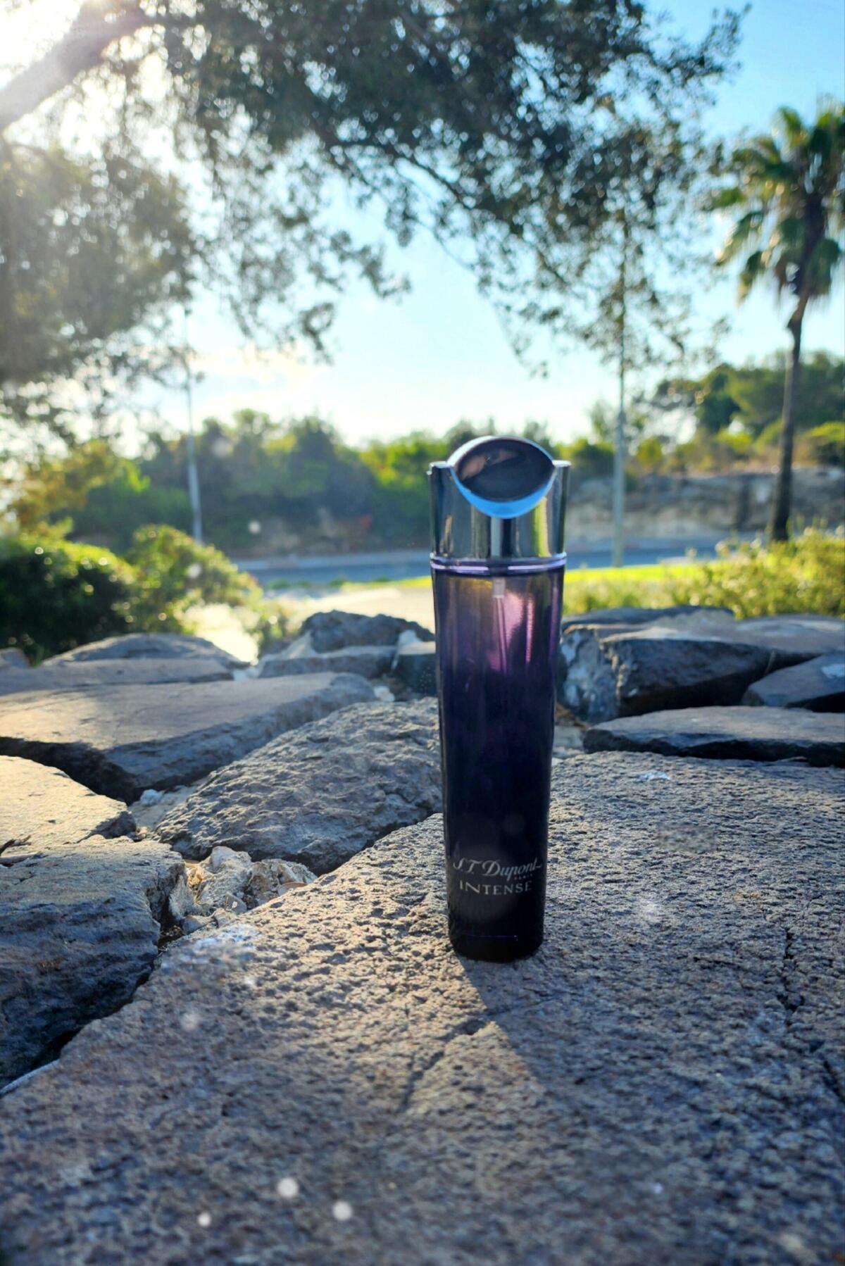 تصویر عطر اس تی دوپونت اینتنس پور فم اس‌تی دوپون