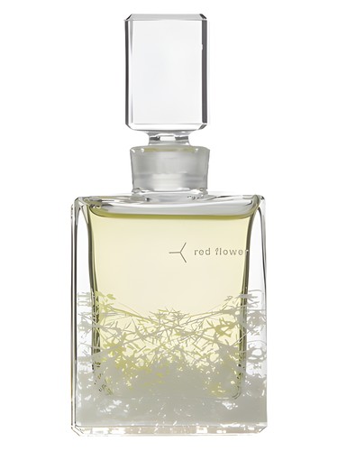 تصویر عطر امبرت رد فلاور ارگانیک پرفیوم