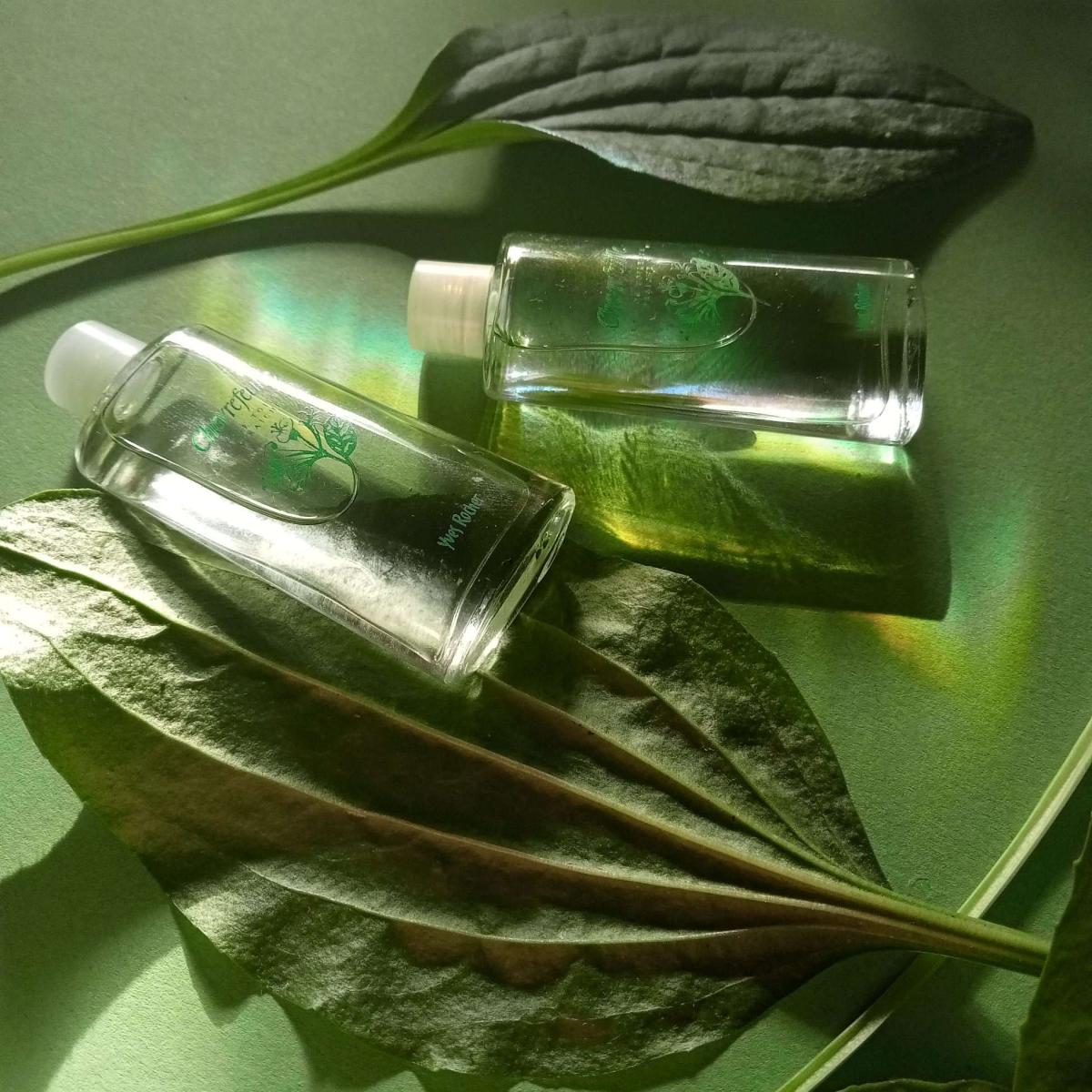 تصویر عطر شوِرفویل ایو روشه