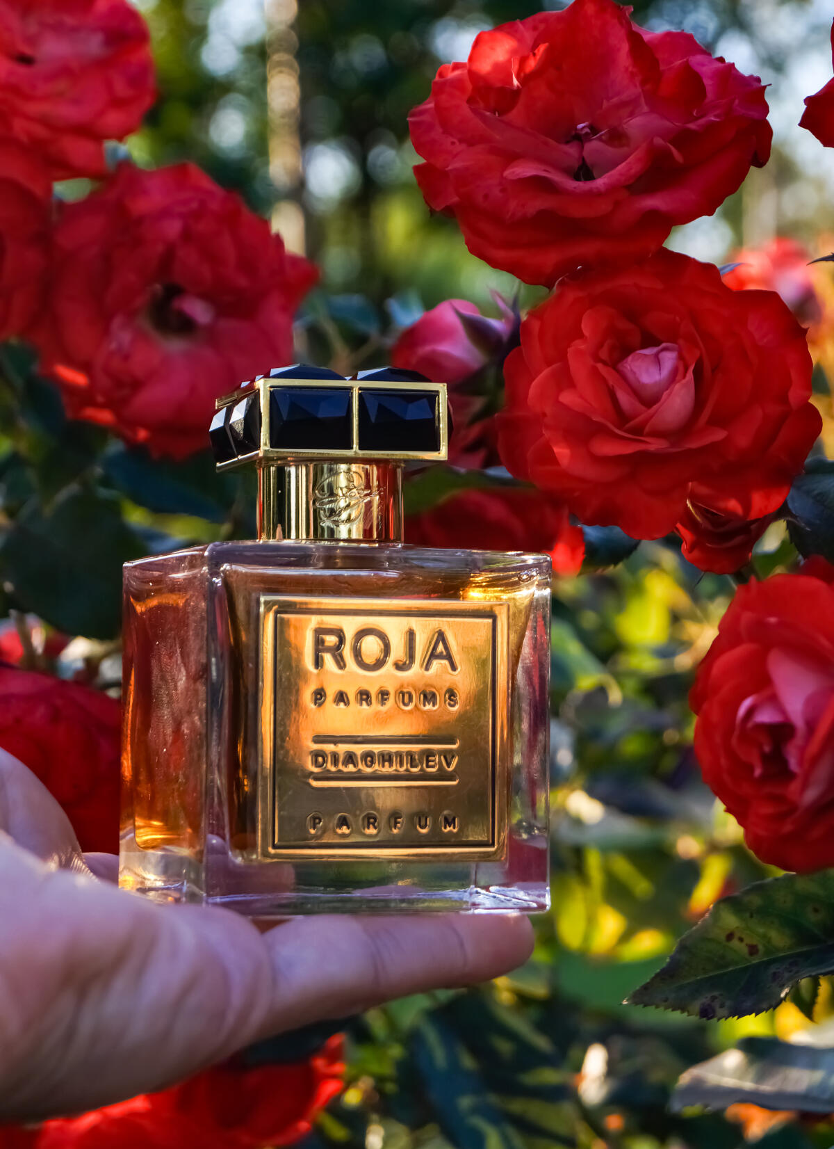 تصویر عطر دیگلیف روژا داو